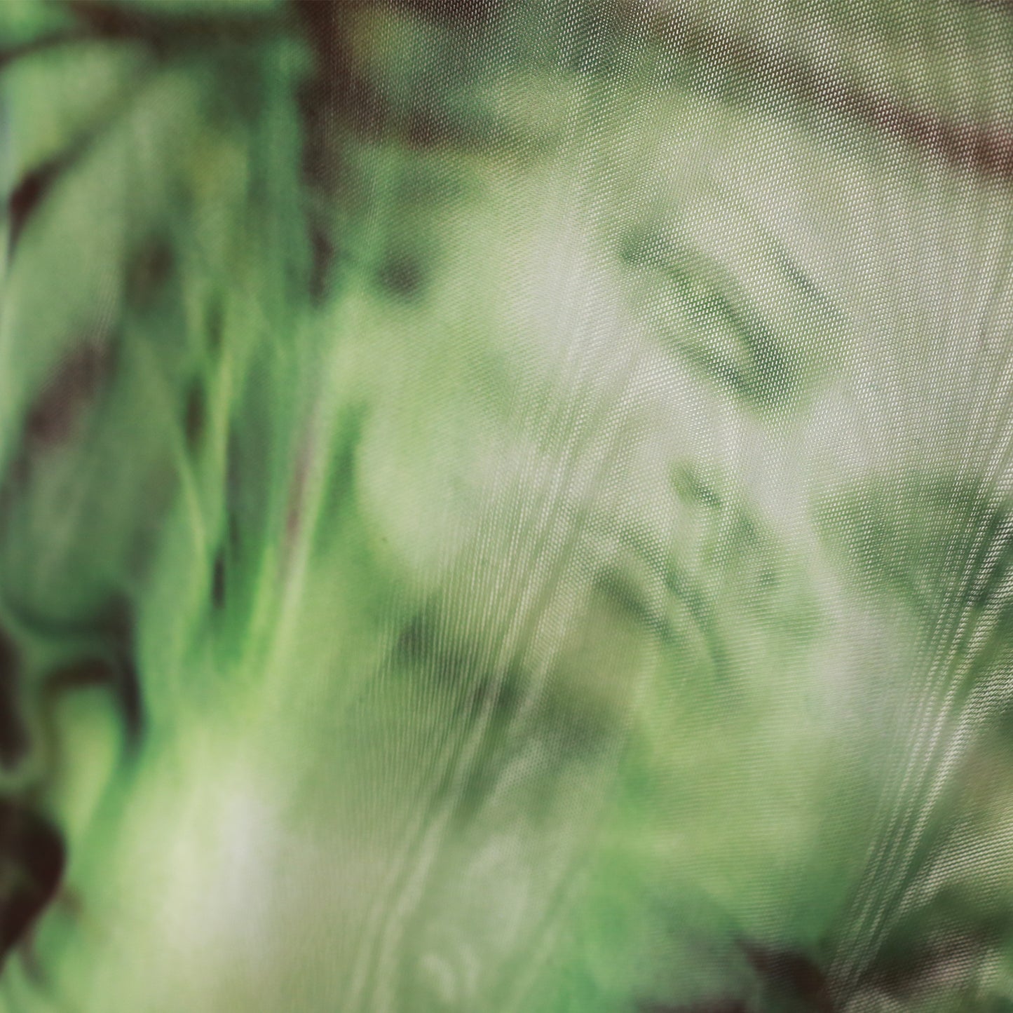 Butterfly Mesh (Green)