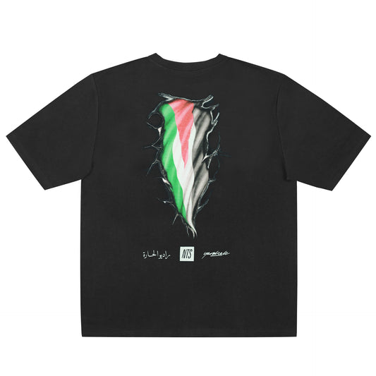 Free Palestine T-Shirt (Black)